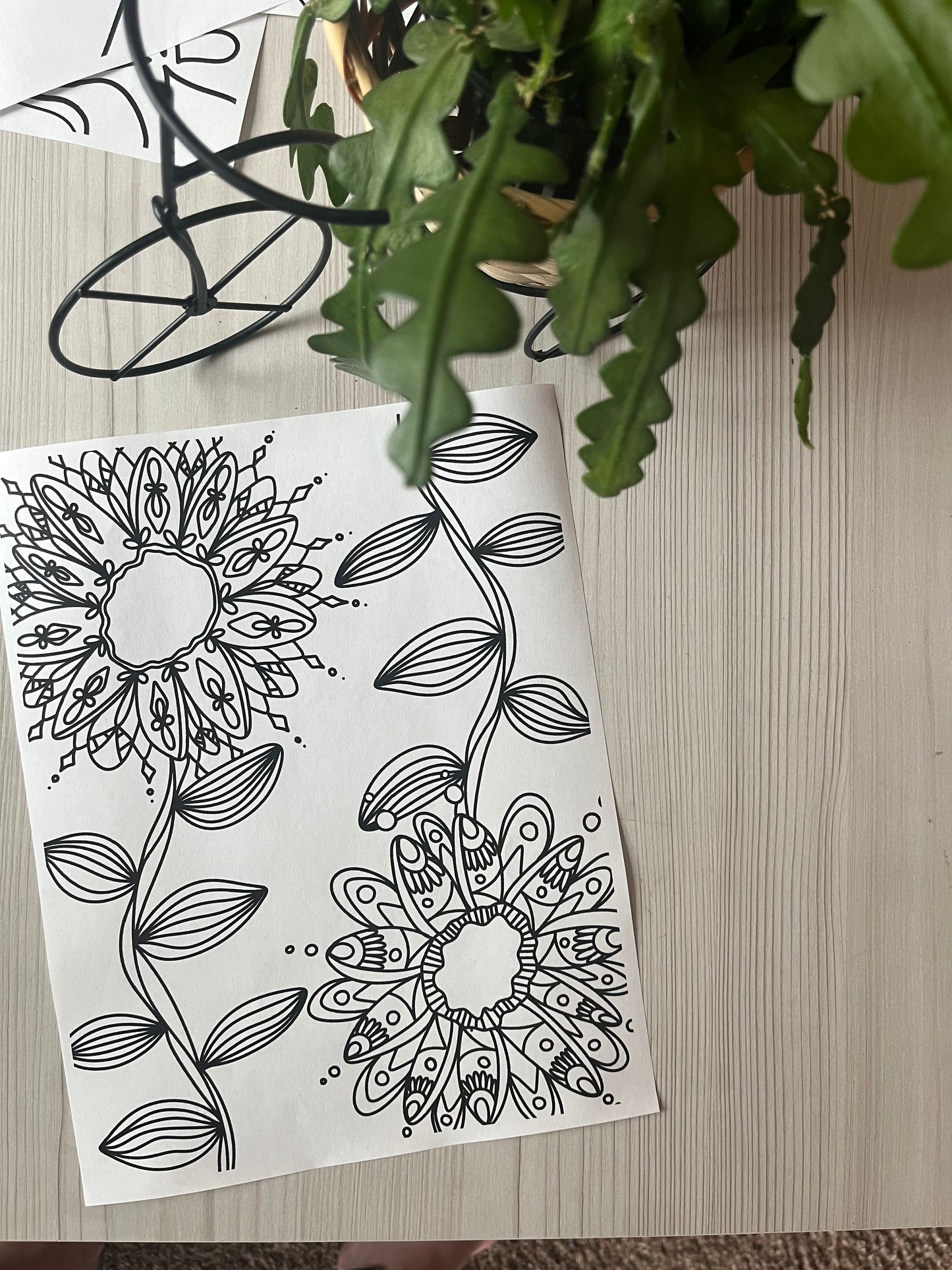 coloring page bundle
